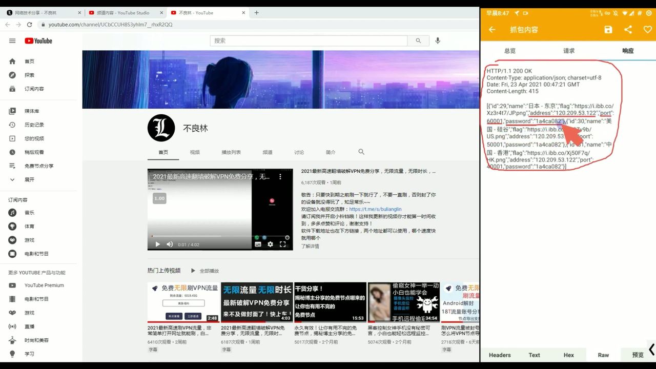 通过参数特征推断 VPN 协议类型的过程